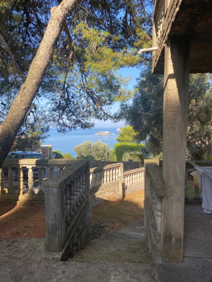 Apartman Novica Herceg Novi Buitenkant foto