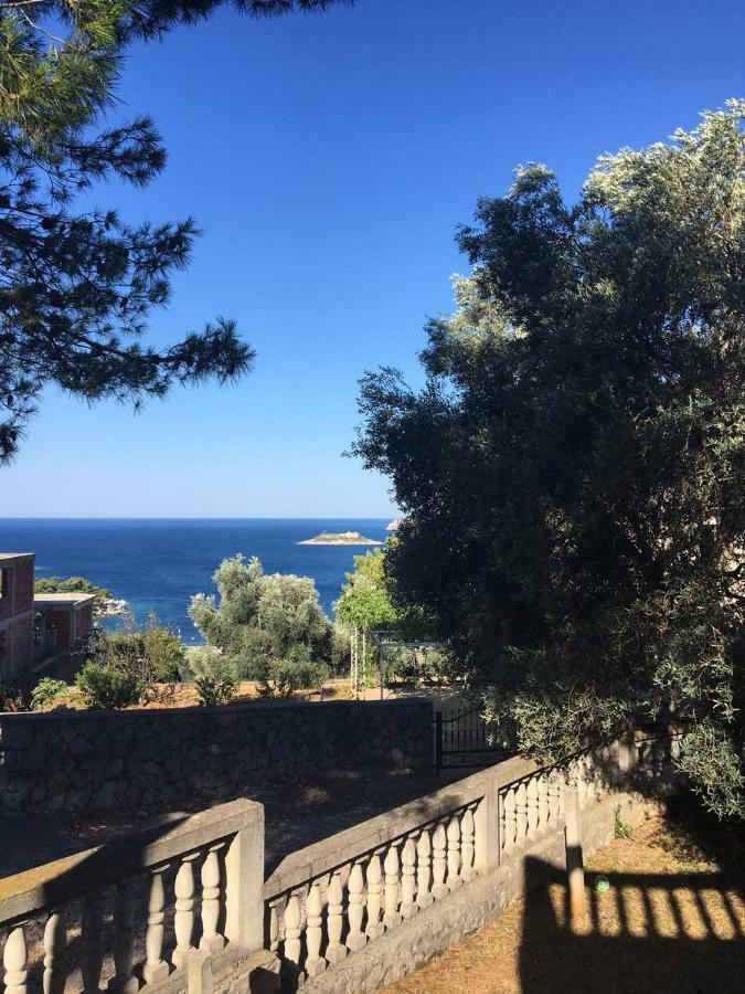 Apartman Novica Herceg Novi Buitenkant foto